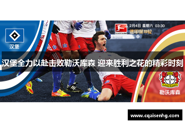 汉堡全力以赴击败勒沃库森 迎来胜利之花的精彩时刻