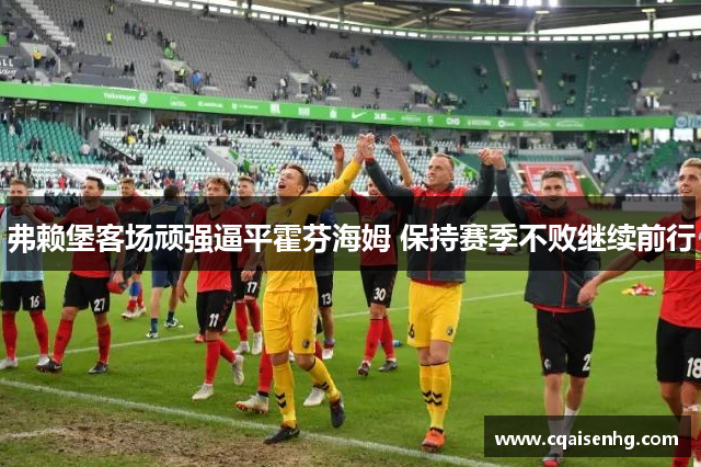 弗赖堡客场顽强逼平霍芬海姆 保持赛季不败继续前行