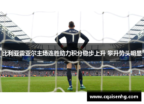 比利亚雷亚尔主场连胜助力积分稳步上升 攀升势头明显