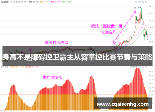 身高不是障碍控卫霸主从容掌控比赛节奏与策略