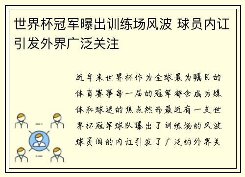 世界杯冠军曝出训练场风波 球员内讧引发外界广泛关注